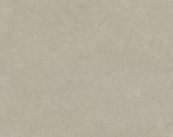[1001111115_8] Surestep stone - 17132 blue concrete